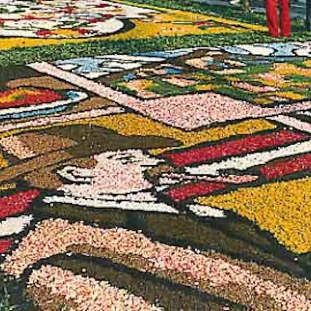 Relax Sul Lago Genzano di Roma